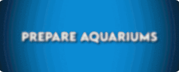 【经营SLG/中文】建造水族馆，繁殖鱼类，拓展你的业务! – Aquarist V1.1 官方中文【12G/新作】