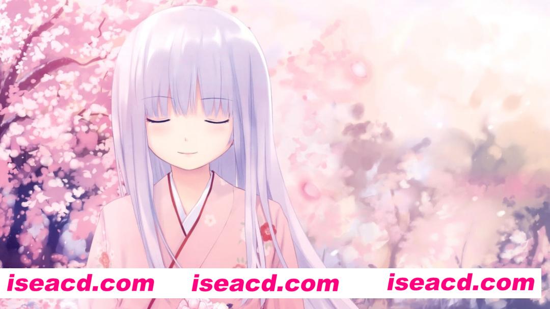 【教程】倪海厦全套视频全屏字幕版【百度】【329G/3844个】