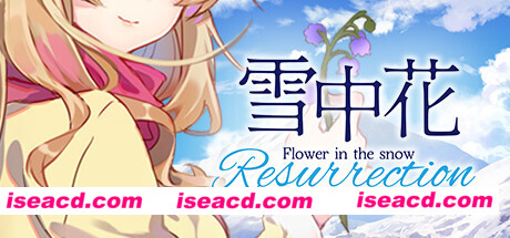 雪中花