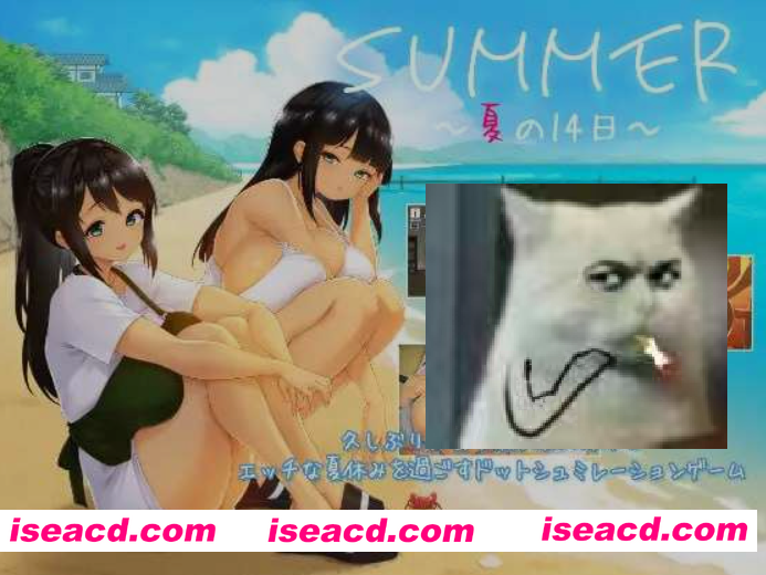 [精品SLG/汉化/全动态] SUMMER ~夏日的14天~/SUMMER ~夏の14日~ ddtzz个人汉化版 [1.4G/新作/全CV]