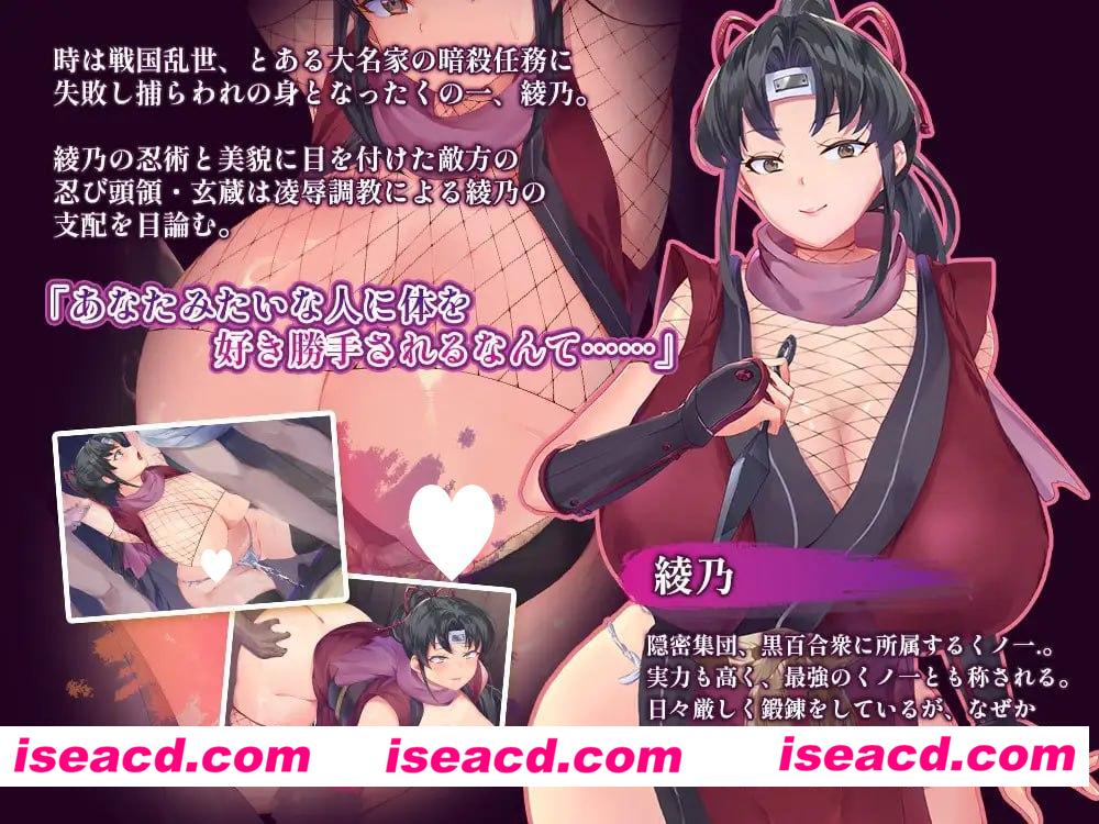 [SLG/调教/动态]女忍者绫乃调教录 —被敌所俘的女忍之二十日— くノ一綾乃調教録 ー敵に囚われた女忍の二十日間ー AI汉化 [PC+安卓mtool]